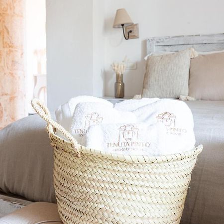 Tenuta Pinto Mola di Bari Zewnętrze zdjęcie